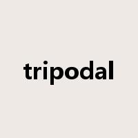 tripodal是什么意思
