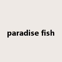 paradise fish是什么意思