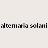 alternaria solani是什么意思