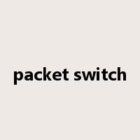 packet switch是什么意思