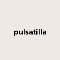 pulsatilla是什么意思