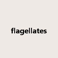 flagellates是什么意思