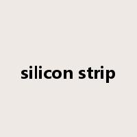 silicon strip是什么意思