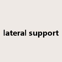 lateral support是什么意思