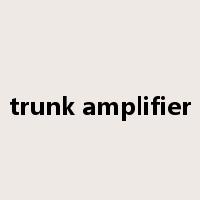 trunk amplifier是什么意思