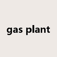 gas plant是什么意思