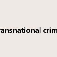 transnational crime是什么意思