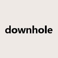 downhole是什么意思