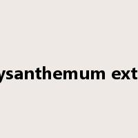 chrysanthemum extract是什么意思