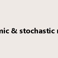 dynamic & stochastic model是什么意思