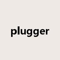 plugger是什么意思