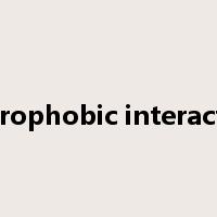 hydrophobic interaction是什么意思