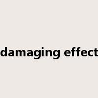 damaging effect是什么意思