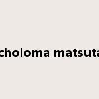 Tricholoma matsutake是什么意思
