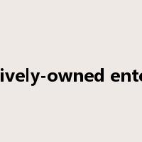 collectively-owned enterprise是什么意思