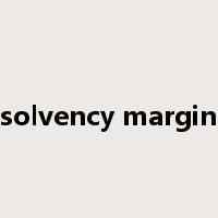 solvency margin是什么意思