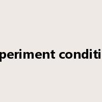 experiment condition是什么意思