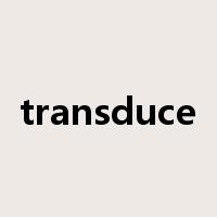 transduce是什么意思