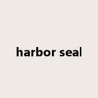 harbor seal是什么意思