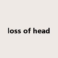 loss of head是什么意思
