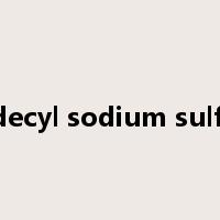 dodecyl sodium sulfate是什么意思