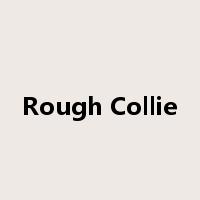 Rough Collie是什么意思