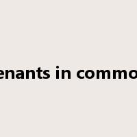 tenants in common是什么意思