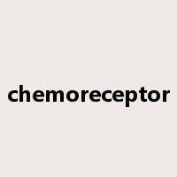 chemoreceptor是什么意思