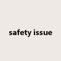 safety issue是什么意思