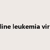 feline leukemia virus是什么意思
