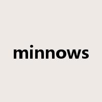 minnows是什么意思