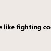 live like fighting cocks是什么意思
