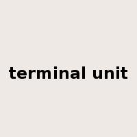 terminal unit是什么意思