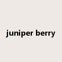 juniper berry是什么意思