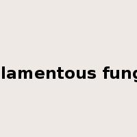 filamentous fungi是什么意思