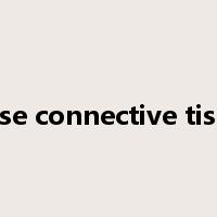 loose connective tissue是什么意思