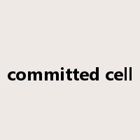 committed cell是什么意思