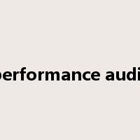 performance audit是什么意思