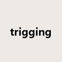 trigging是什么意思