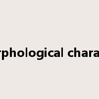 morphological character是什么意思