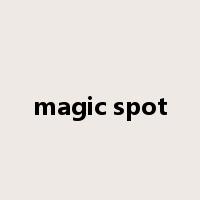 magic spot是什么意思