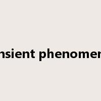 transient phenomenon是什么意思
