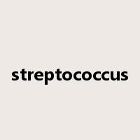 streptococcus是什么意思