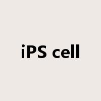 iPS cell是什么意思