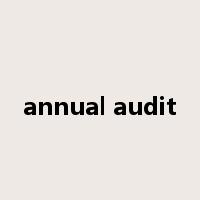 annual audit是什么意思