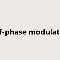 self-phase modulation是什么意思