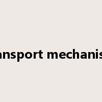 transport mechanism是什么意思