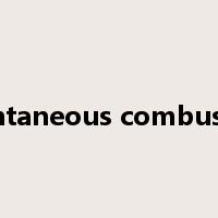 spontaneous combustion是什么意思