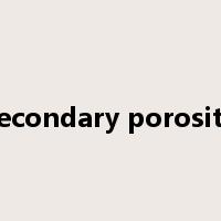 secondary porosity是什么意思