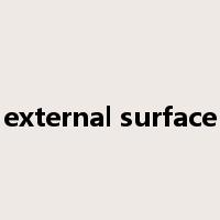 external surface是什么意思